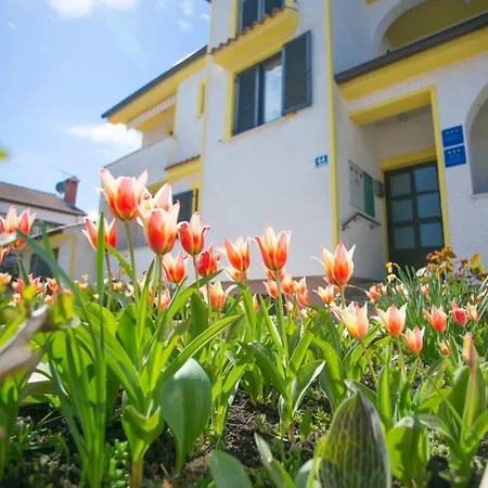 Matosevic Casa de hóspedes *